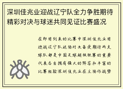 深圳佳兆业迎战辽宁队全力争胜期待精彩对决与球迷共同见证比赛盛况