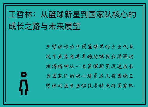王哲林：从篮球新星到国家队核心的成长之路与未来展望