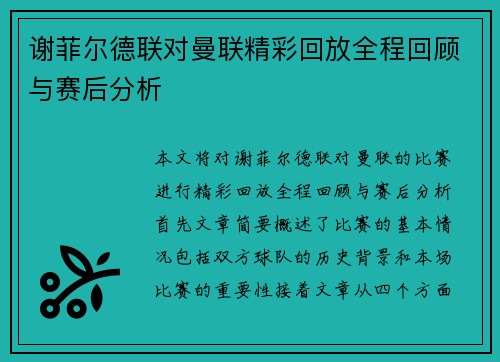 谢菲尔德联对曼联精彩回放全程回顾与赛后分析