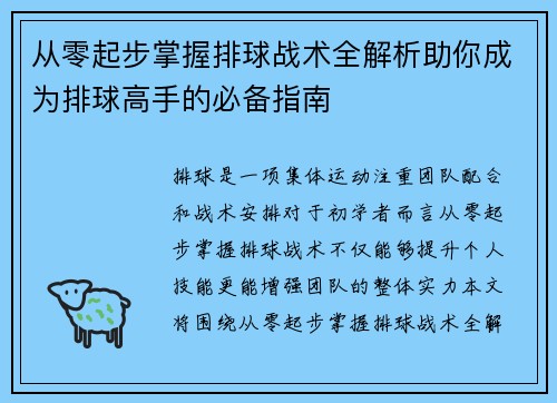 从零起步掌握排球战术全解析助你成为排球高手的必备指南