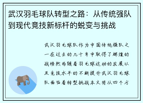 武汉羽毛球队转型之路：从传统强队到现代竞技新标杆的蜕变与挑战